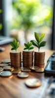 Growth of financial investment represented by plants emerging from stacks of coins indoors. photo
