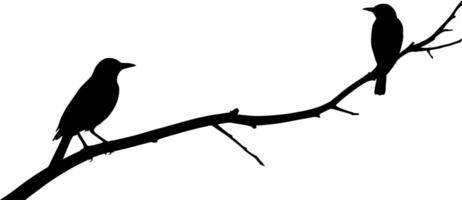 Birds on a branch silhouette with a background vector
