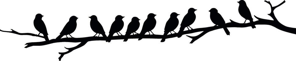 Birds on a branch silhouette with a white background vector