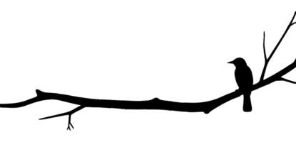 Silhouette of a bird on a branch with a background vector