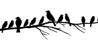 Birds on a branch silhouette illustration with a background vector