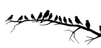 Birds on a branch silhouette illustration with a gray background vector