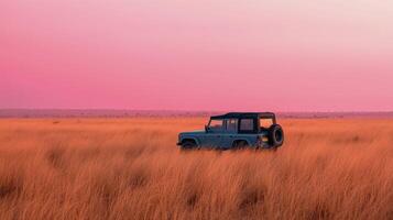 Vintage jeep parked in tall grass during a sunset in open terrain. photo