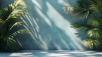 Lush greenery casting shadows on a textured blue wall in a tranquil indoor setting. photo