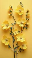 Bright yellow flowers arranged against a vibrant yellow background showcasing fresh blooms. photo