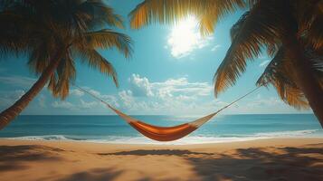 Relaxing hammock between palm trees on a tropical beach at sunset. photo