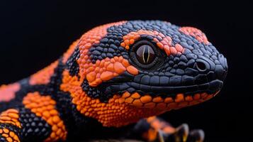 Brightly colored lizard with distinct patterns poses on a rocky surface in a dark setting. photo