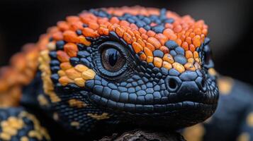 Captivating close-up of a vibrant orange and black lizard in natural habitat during daylight hours. photo