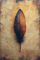 Detailed brown feather on textured parchment background with natural shades and patterns. photo