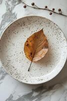 Plate with a single dried leaf resting on a speckled surface in a serene indoor setting. photo