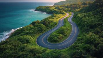 Scenic coastal road winding through green hills along the ocean in golden hour light. photo