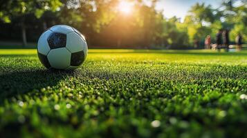 Soccer ball resting on green grass field during sunset in a park setting. photo
