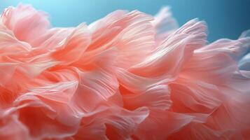 Soft pink petals swirl together in delicate arrangement against a light blue background. photo