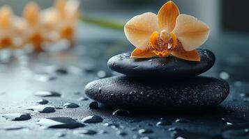 Relaxing spa setting with stones and orchid on calm surface during serene wellness session. photo