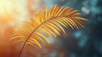Beautiful golden palm leaf glowing in soft sunlight at a tropical location. photo