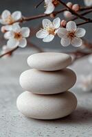 Three smooth stones balanced elegantly with delicate cherry blossom branches nearby. photo
