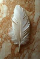 White feather resting on a marbled surface with intricate patterns and textures. photo