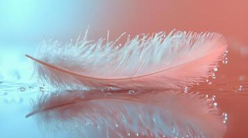 Soft feather floating on water with colorful background at calm setting. photo