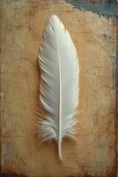Elegant white feather resting on textured background with rustic charm. photo
