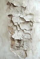 Cracked plaster wall revealing underlying texture in an indoor setting with natural light. photo