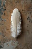 Delicate white feather resting on textured earthy background showcasing natural beauty. photo