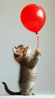Playful kitten reaching for a red balloon in bright setting with neutral background photo