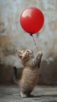 Playful kitten reaches for a red balloon in a sunlit outdoor setting photo