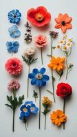 Colorful floral arrangement showcasing various wildflowers on a white background photo