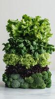 A stack of green and red lettuce photo
