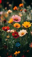 A field of colorful flowers in a field photo