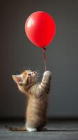 A kitten is holding a red balloon photo