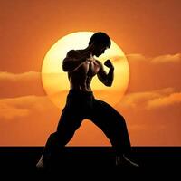 A man in a martial pose with the sun in the background photo