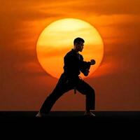 A man in karate stance with the sun setting behind him photo