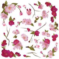 Set of gentle spring flowers and branches vector