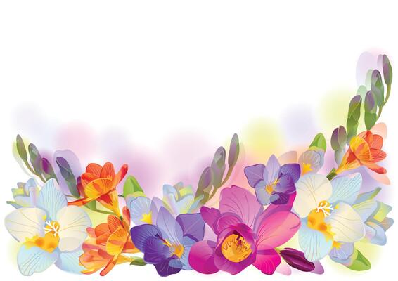 Horizontal background with gentle freesia flowers