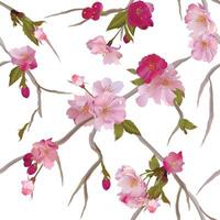 seamless background with sakura branch vector