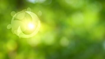 Sunlit Green Bokeh Background, Nature Scene, Spring photo