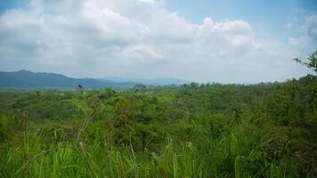 Hilltop Jungle Vista Scenic Landscape Photography photo