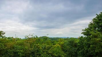 Hilltop forest vista, overcast sky, distant mountains, travel brochure photo