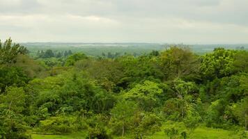 Lush jungle canopy viewed from above, showing distant plains under overcast sky, ideal for travel brochures photo