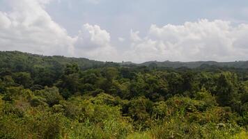 Lush green hillscape under cloudy sky, panoramic view photo