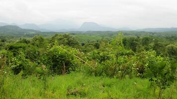 Lush green hillside, mountain backdrop, overgrown field photo