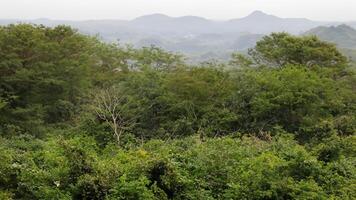 Lush Green Hilltop Forest View, Distant Mountains photo