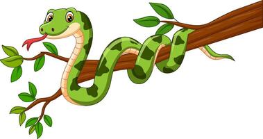 Cartoon snake on a tree branch vector