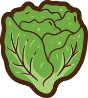a cartoon lettuce icon on a white background vector