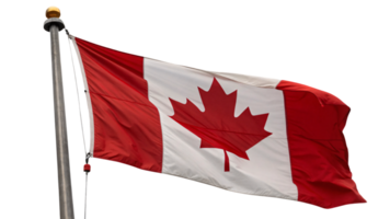 A detailed view of the Canadian flag in motion, emphasizing its bold red and white colors png