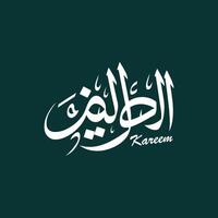 Ramadan Kareem greeting card with Arabic Calligraphy isolated on green background vector