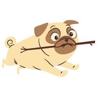 Cute pug running with a stick in his teeth. Flat illustration in simple child style vector