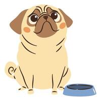 Cute sad pug begging for food, empty bowl. Flat illustration in simple child style vector