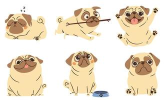 A set of flat illustrations in a simple children's style. Cute funny dogs of pug breed in different poses on white background vector